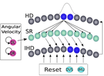 A Neuromorphic Approach to Path Integration: A Head-Direction Spiking Neural Network with Vision-driven Reset