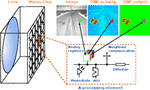 A Demonstration of Tracking using Dynamic Neural Fields on a Programmable Vision Chip